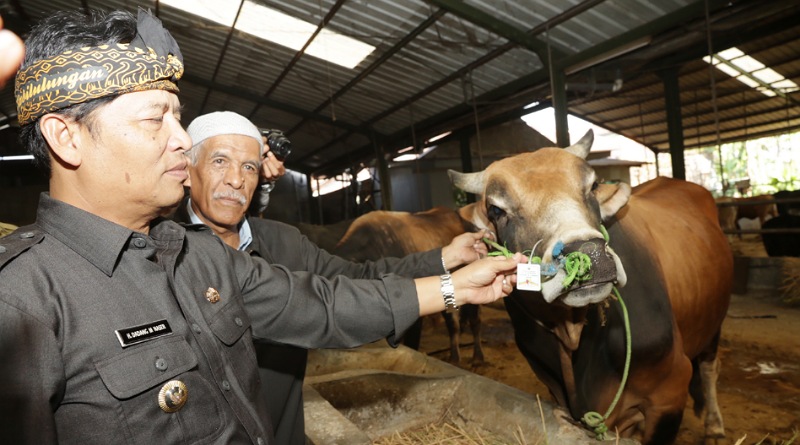 Bupati, “Terapkan Protokol Covid-19 di Tempat Jualan Hewan Kurban”