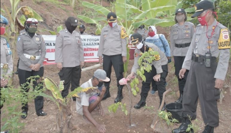 Dukung Ketahanan Pangan, Desa Raharja, Banjar, Wujudkan Kampung Tangguh Lodaya