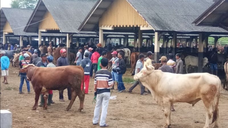 Pasar Hewan Manonjaya Kembali Buka, Pedagang Lokal Keluhkan Kehadiran Pedagang dari Luar Daerah
