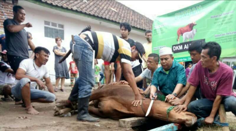 Berkurban untuk para Korban Pandemi