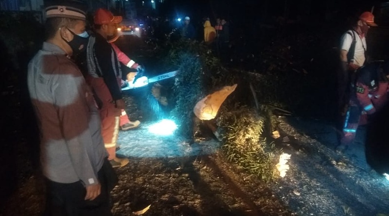 Empat Pengendara Motor Tertimpa Pohon Tumbang di Soreang, Satu Tewas