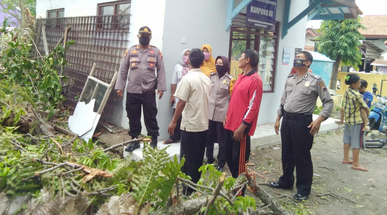 Kapolsek Batang Kota Cek Lokasi Pohon Tumbang
