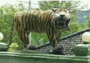 Patung Macan Lucu Cisewu, Begini Sejarah Singkatnya