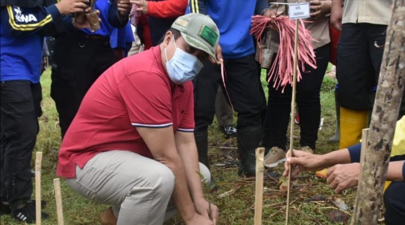 Kemensos RI Berikan Bantuan 20 Ribu Bibit Pohon Mangrove