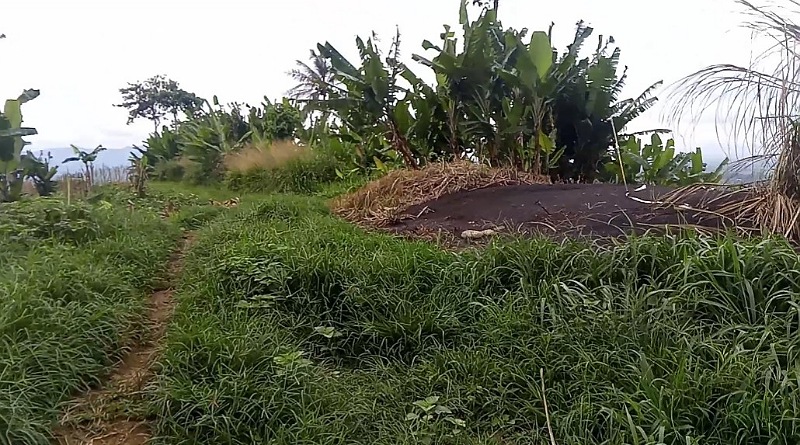 Pemilik Lahan Akan Laporkan Perusahaan PT. QL ke Polda