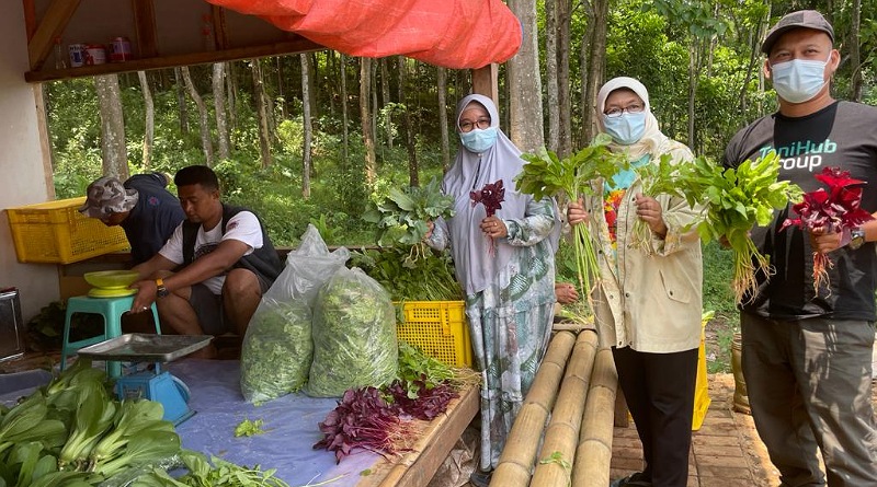 Istri Bupati Bandung Terpilih Dorong Kaum Milenial Desa agar Berkebun