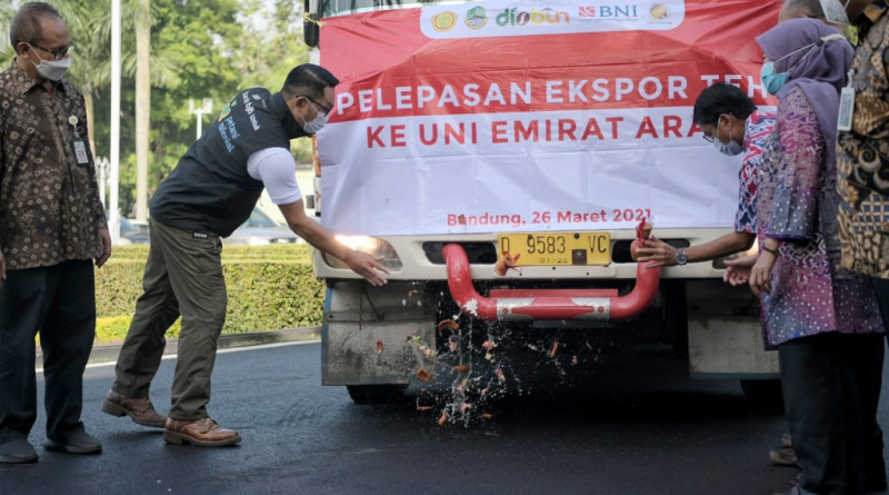 Ridwan Kamil Lepas Ekspor 20 Ton Teh Asli Jabar ke Uni Emirat Arab