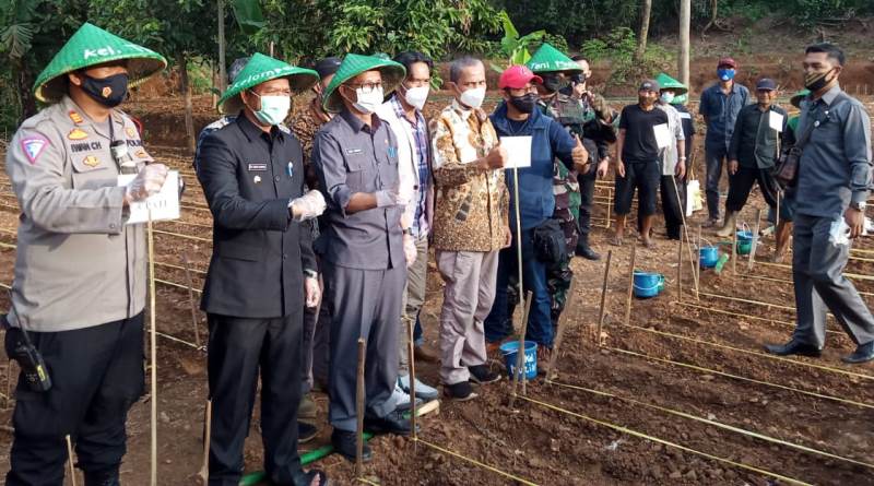 Dadang Supriatna, “Kita Siapkan Anggaran Rp. 180 Juta/Hektar untuk Tanam Umbi Porang”