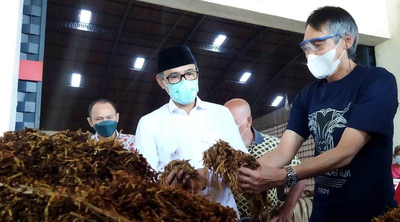 Bupati Temanggung Minta Harga Pembelian Tembakau dari Petani oleh Pabrikan Rokok Lebih Tinggi