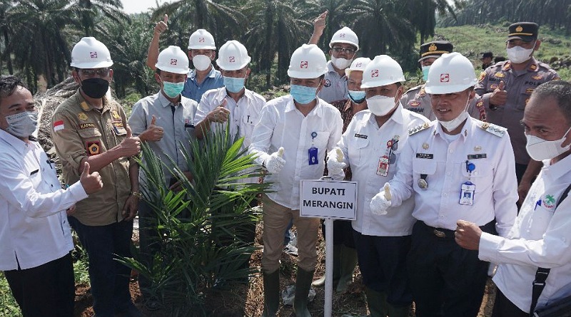 Peremajaan Sawit Rakyat Tingkatkan Produktivitas Petani Swadaya di Wilayah Kabupaten Merangin Jambi