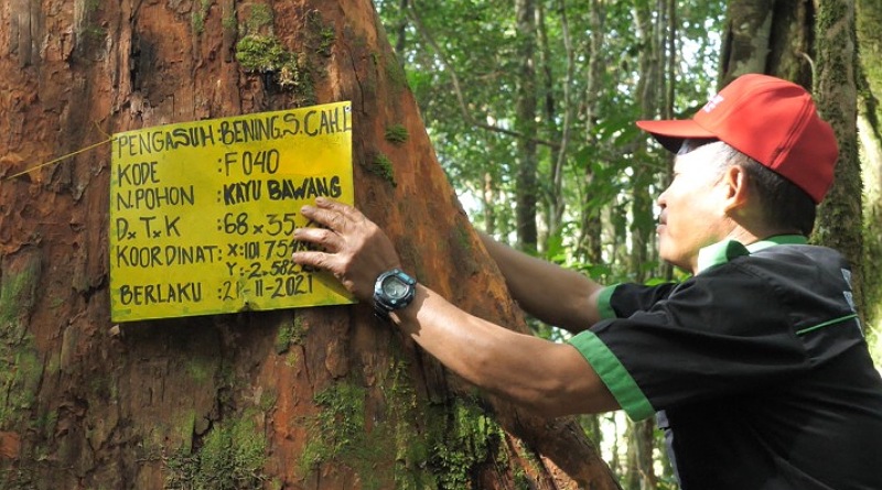 HII Adopsi 4.000 Pohon pada Tahun 2016-2021