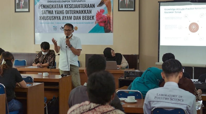 Dorong Indonesia Bebas Kandang Baterai 2030, AFJ Adakan Diskusi Kelompok Terpumpun