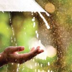 IMG 20230926 070454 800 x 445 piksel