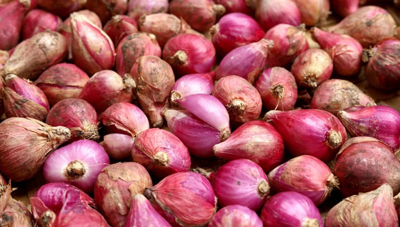 Harga Pangan Melonjak: Beras dan Bawang Merah Naik, Gula dan Bawang Putih Masih Mahal