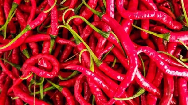 Kenaikan Harga Cabai Rawit Merah dan Cabai Merah Keriting di DI Yogyakarta: Naik 6,21 Persen per Senin, 10 Juni 2024