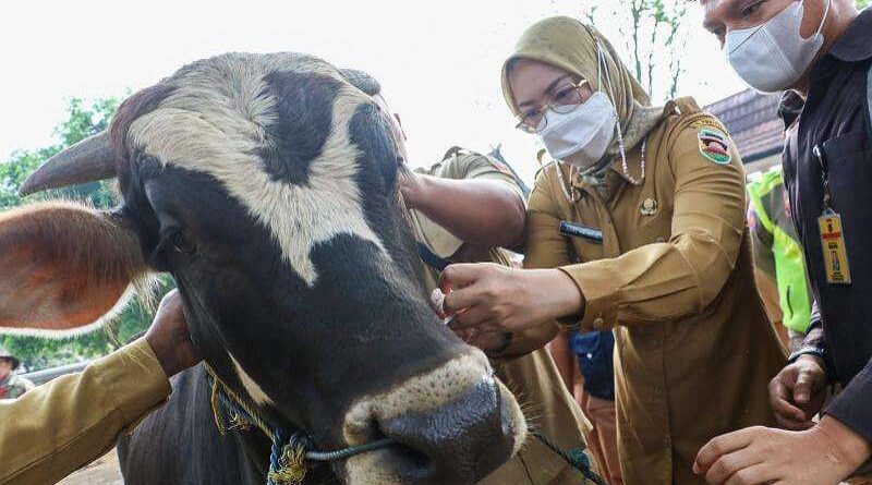 83 Petugas Pemeriksa Hewan Kurban Disebar Pemkab Purwakarta Menjelang Hari Raya Iduladha 1445 Hijriah/2024