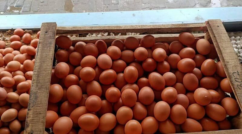 Terkini: Harga Telur Ayam Ras Melonjak, Daging Sapi Murni Alami Penurunan – Update Harga Bahan Pokok 11 Juni 2024