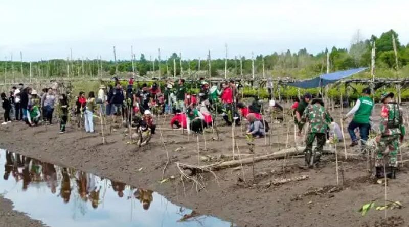 DLH Kutim Menanam Harapan di Pantai Teluk Lingga: Pelestarian Terumbu Karang dan Mangrove