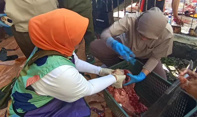 Temuan Cacing pada Daging Kurban, DKPP Kota Bandung Ambil Tindakan Tegas