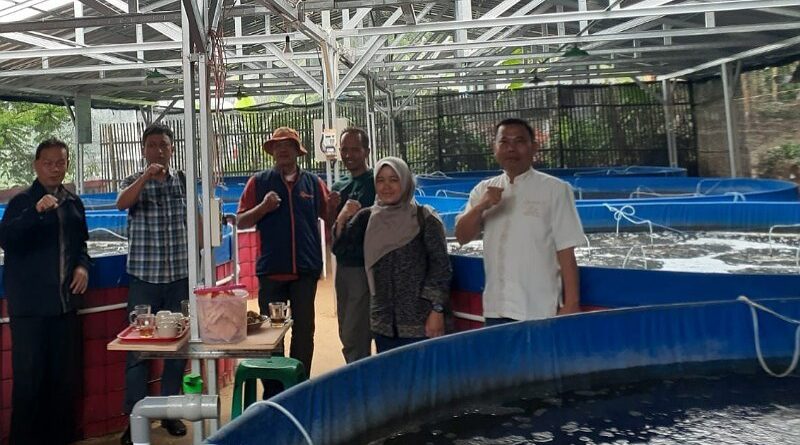 Budidaya Ikan dengan Teknik Bioflok Diminati di Sumedang