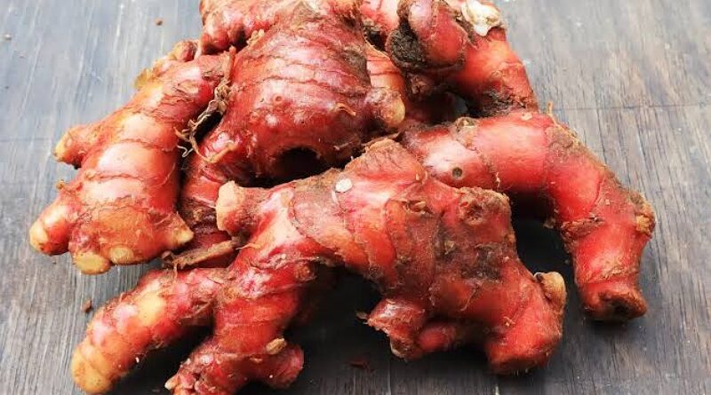Jahe Merah: Rempah Hangat yang Mendukung Kesehatan dan Kesejahteraan Masyarakat Indonesia