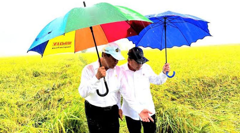 Mentan Andi Amran Sulaiman Dorong Pengembangan Varietas Unggul Padi Cakrabuana Agritan di Merauke