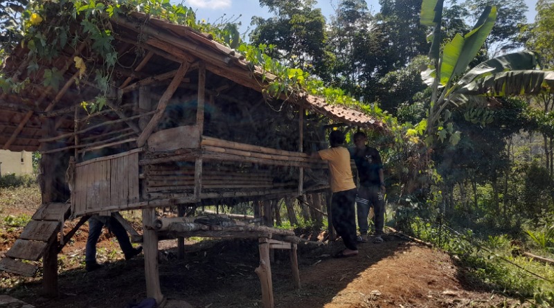 Hewan yang Menyerang Domba di Cikidang Sukabumi Dipastikan Macan