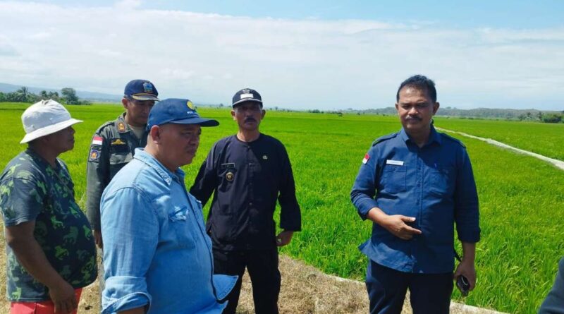 Dirjen Tanaman Pangan Kementan Cek Lahan Sawah di Garut Selatan: Upaya Hadapi Musim Kemarau