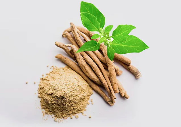 Peneliti Ungkap, 7 Tanaman Herbal Ampuh Tingkatkan Kecerdasan Otak