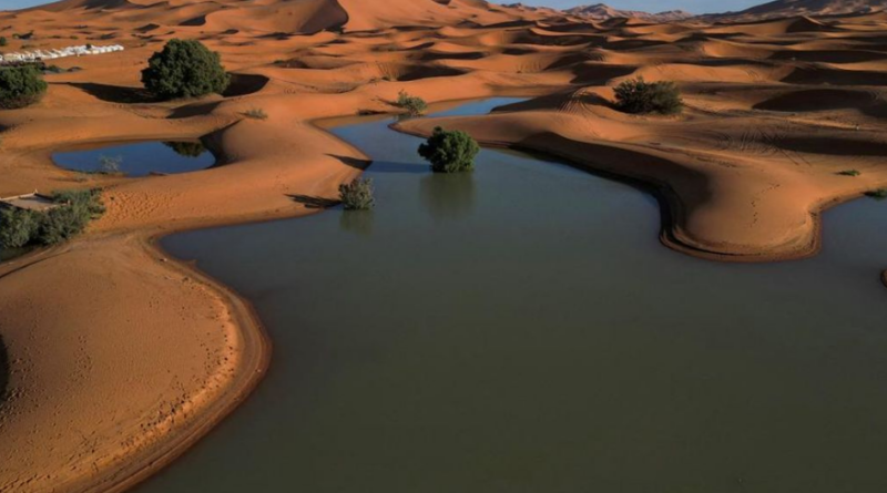 Danau Muncul di Gurun Sahara Setelah Siklon Bawa Hujan Lebat