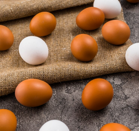 Perbedaan Telur Ayam Coklat dan Putih