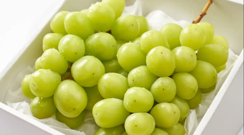 Anggur Shine Muscat Tercemar Pestisida di Thailand, Tapi Aman di Malaysia, Singapura dan Indonesia