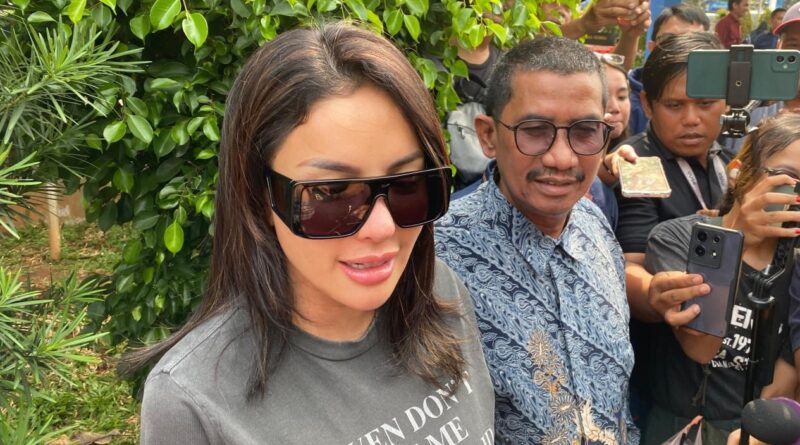 Vadel Badjideh Yakin Lolos dari Jerat Hukum, Ini Kata Pengacara Nikita Mirzani