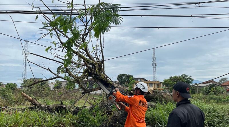 Waspada dan Siap Siaga, BPBD Ingatkan Potensi Musim Pancaroba Terjadinya Turun Hujan disertai Angin Kencang