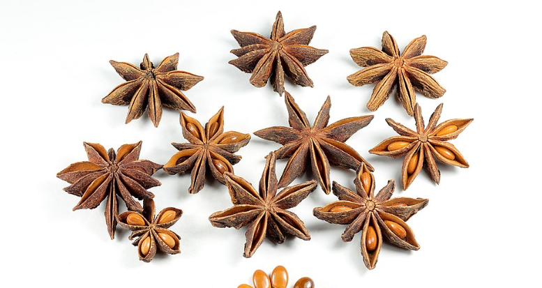 Manfaat Kesehatan Bunga Lawang dan Kandungan Gizi