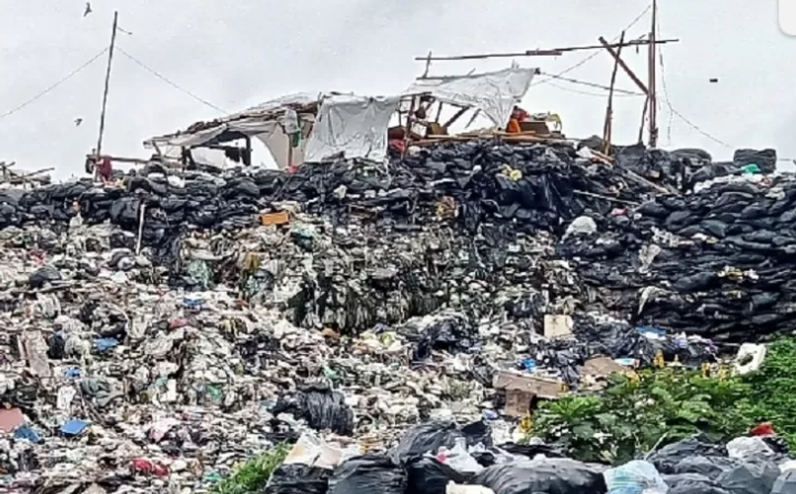 Menteri Lingkungan Hidup Tutup TPS Ilegal di Limo, Cinere