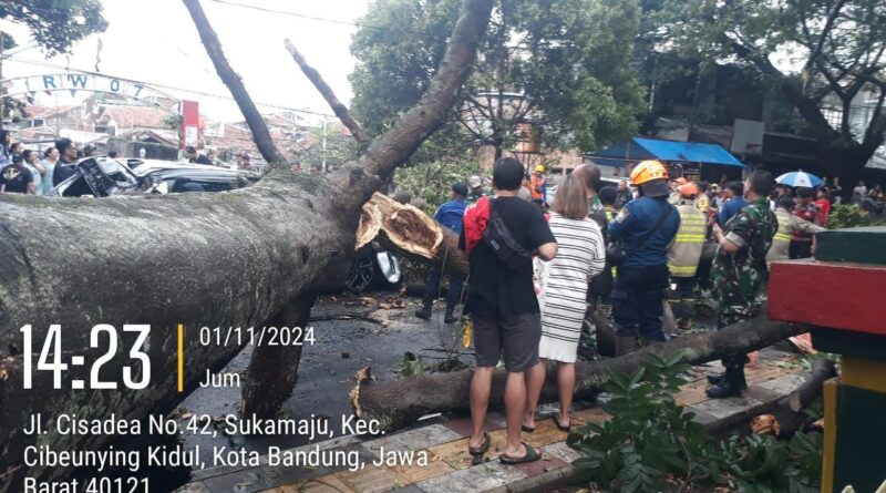 Pohon Tumbang di Cibeunying Kidul Timbulkan Kerusakan dan Gangguan Lalu Lintas