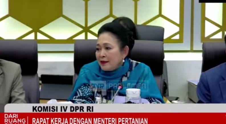 Komisi IV DPR Dukung Wacana Peran Bulog Dikembalikan Seperti Era Soeharto