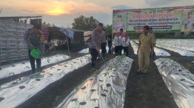 Gerakan Nyata Polres Gresik Dukung Ketahanan Pangan, Tanam Ribuan Bibit Cabai di Menganti 5 Gerakan Nyata Polres Gresik Dukung Ketahanan Pangan, Tanam Ribuan Bibit Cabai di Menganti