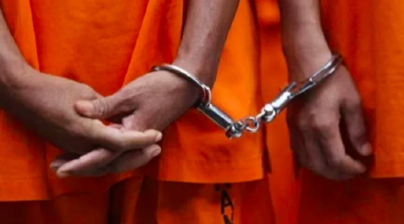 320 WNA Sindikat Judol Digiring ke Rudenim