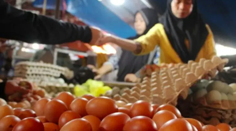 Update! Harga Pangan Nasional, Telur Rp31.950 per Kg