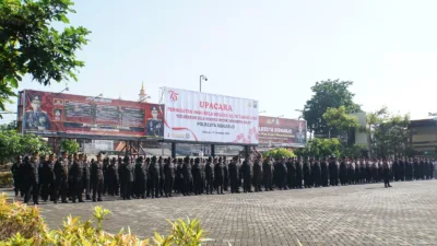 WhatsApp Image 2024 12 19 at 10.10.39