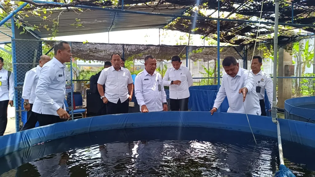 WhatsApp Image 2025 01 18 at 09.21.17