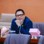 WhatsApp Image 2026 01 26 at 17.53.08