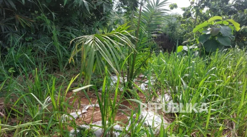 Sawit Masuk Jawa Barat, DPRD Nilai Ancaman Tata Ruang dan Lingkungan Menguat