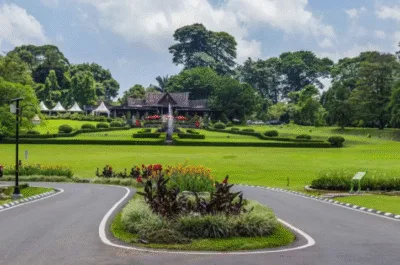 Pemandangan hijau dan luas Kebun Raya Bogor, salah satu destinasi wisata Bogor 2026 yang cocok untuk liburan keluarga dan healing./visi.news/ist.