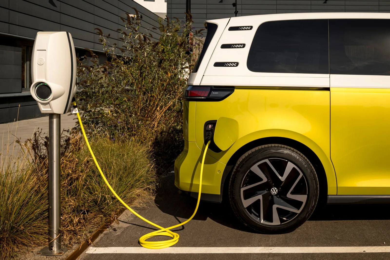 WhatsApp Image 2026 03 11 at 13.42.03