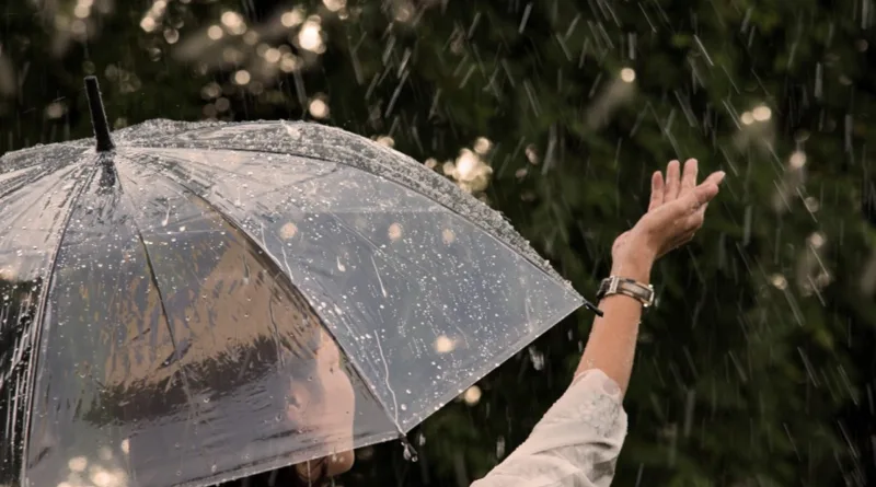 Terungkap! 4 Penyebab Hujan Turun di Musim Kemarau