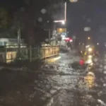 Desain tanpa judul 29 5