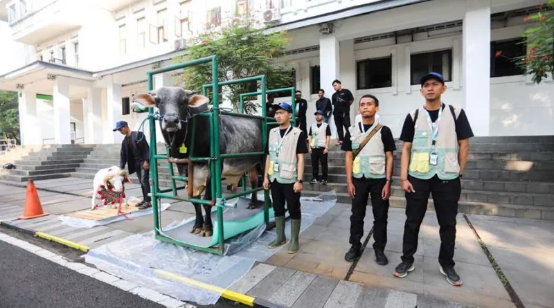 Pemkot Bandung Kerahkan 184 Petugas, Pastikan Hewan Kurban Sehat hingga Hari Tasyrik